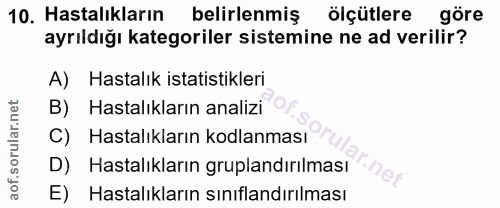 Soru 10