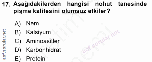 Soru 17