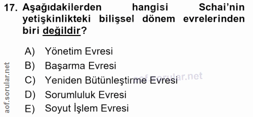 Soru 17