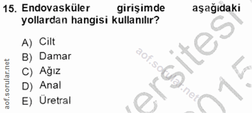 Soru 15
