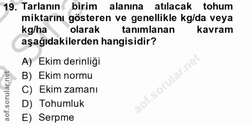 Soru 19