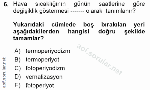Soru 6
