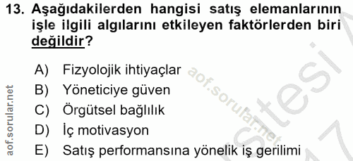Soru 13