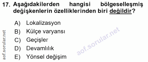 Soru 17