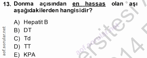 Soru 13