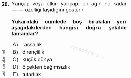 Soru 20