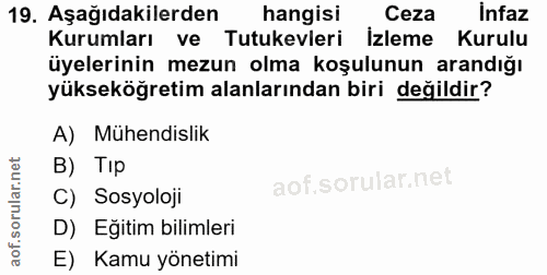 Soru 19
