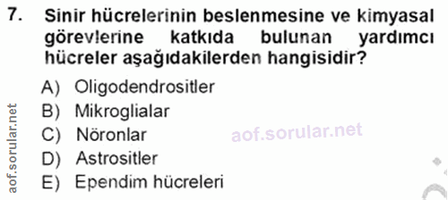 Soru 7