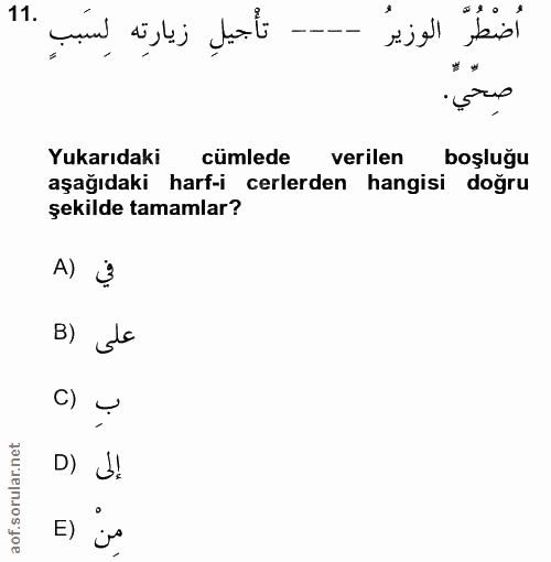 Soru 11