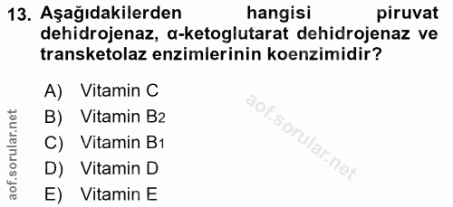Soru 13