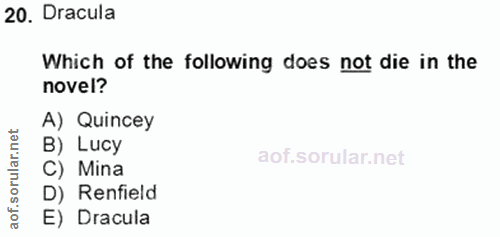 Soru 20