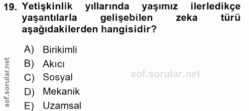 Soru 19