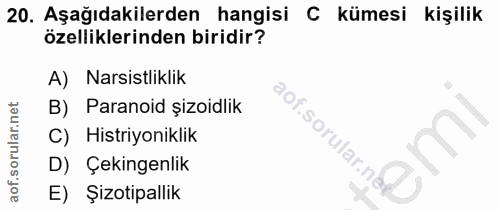 Soru 20