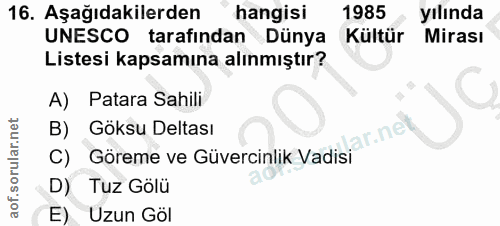 Soru 16