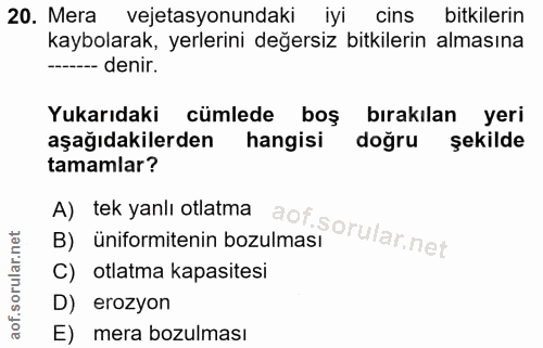 Soru 20