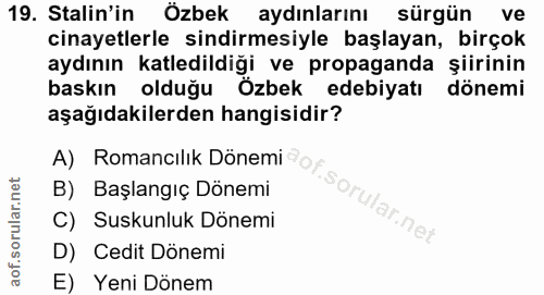 Soru 19