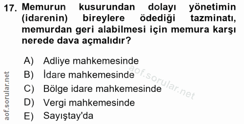 Soru 17