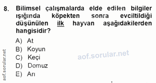 Soru 8