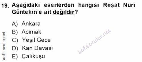Soru 19