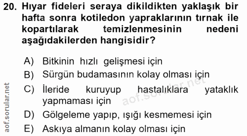 Soru 20