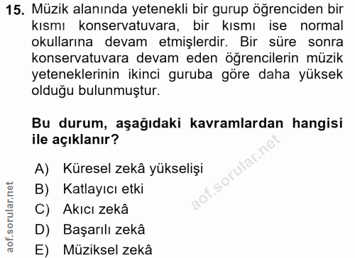 Soru 15