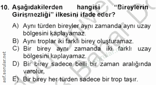 Soru 10