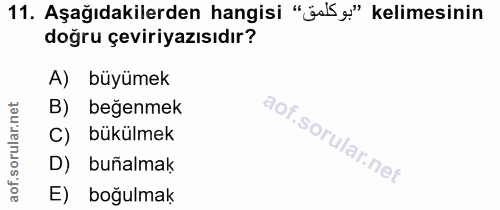 Soru 11
