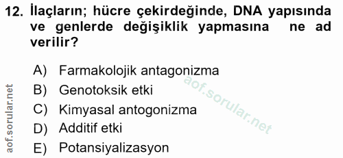 Soru 12