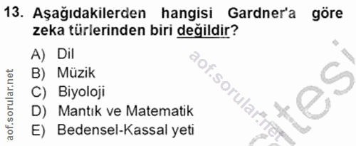 Soru 13