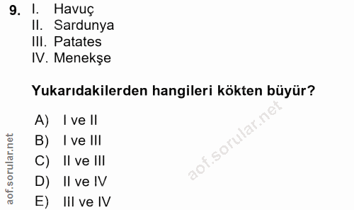 Soru 9