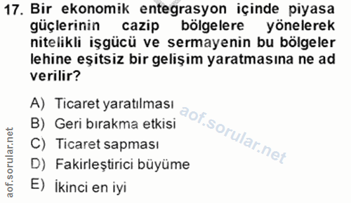 Soru 17