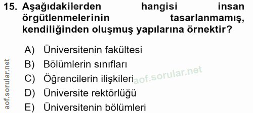 Soru 15