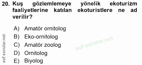 Soru 20