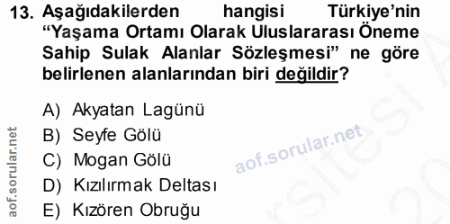 Soru 13