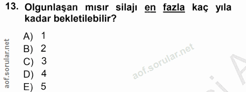 Soru 13