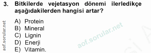 Soru 3