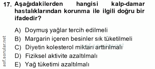 Soru 17