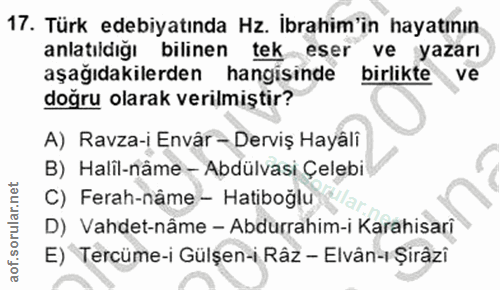 Soru 17