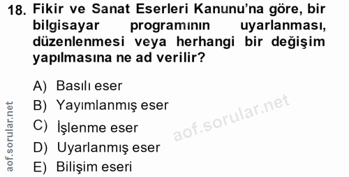 Soru 18