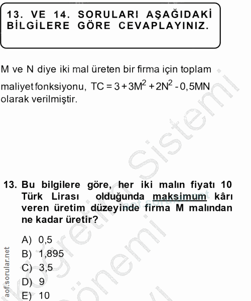 Soru 13
