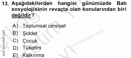 Soru 13