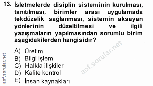 Soru 13