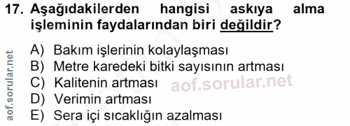 Soru 17