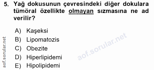 Soru 5