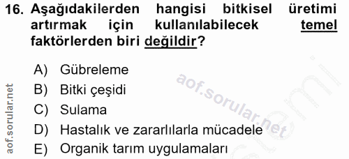 Soru 16