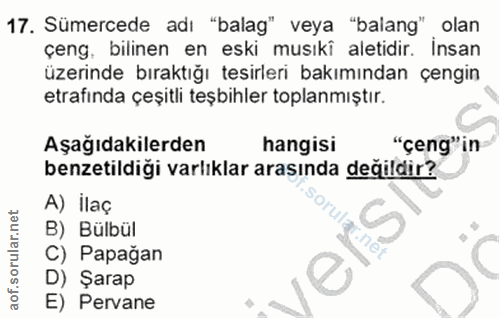 Soru 17