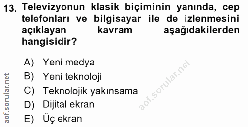 Soru 13