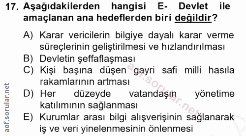 Soru 17