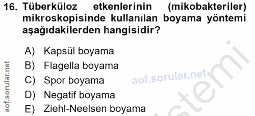 Soru 16