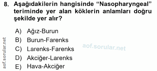 Soru 8